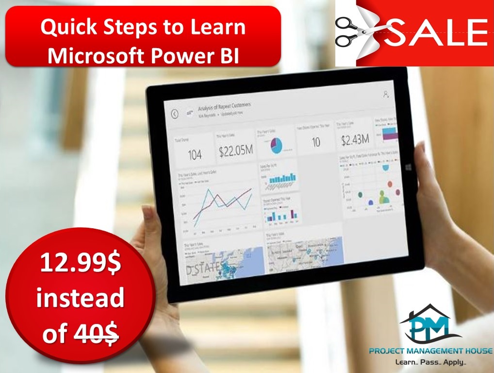 Quick Steps to Learn Power BI (12.99$ instead of 40$)